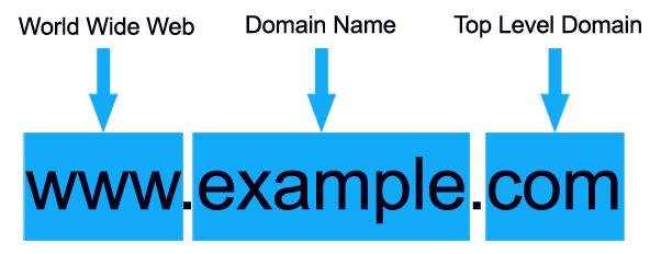 SEO for real estate domain example